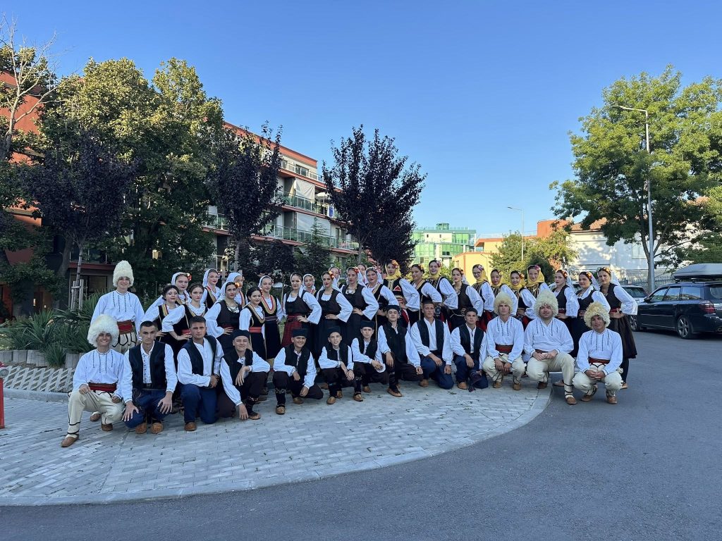 Humanitarni koncert za Milicu i Jovana