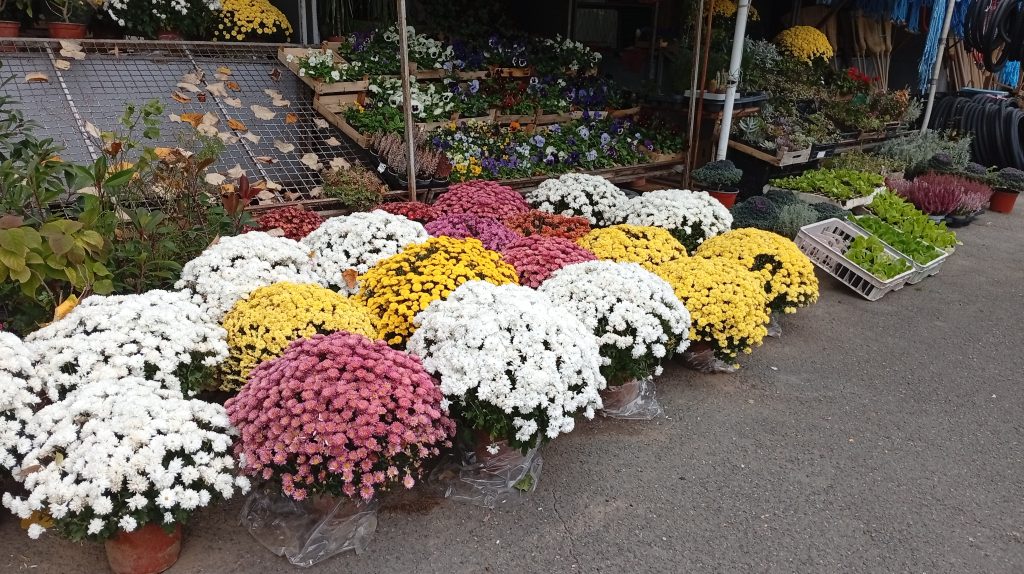 Pijačni barometar za 16. oktobar