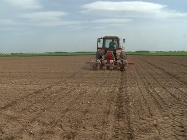 U toku jesenja sjetva, povoljni klimatološki uslovi