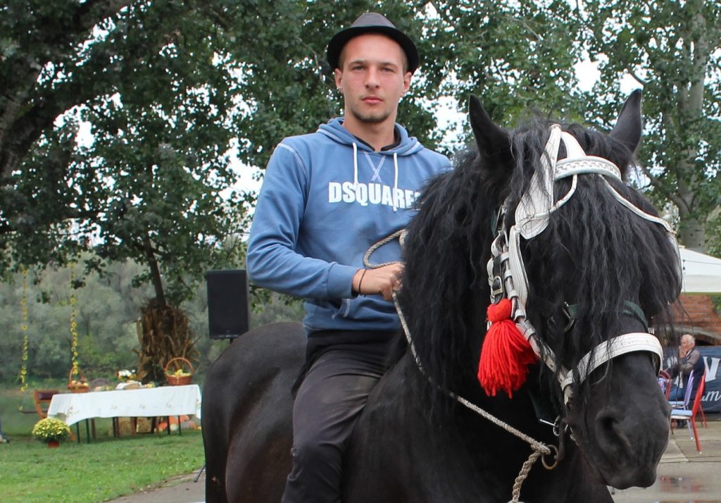 Admir Suhonjić život posvetio konjima: Prohodao sam držeći se za konjski rep