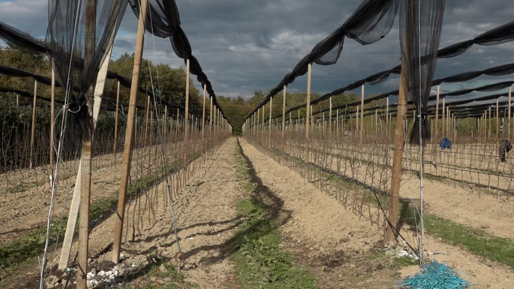 Novi zasadi uz podršku ministarstva i lokalne zajednice