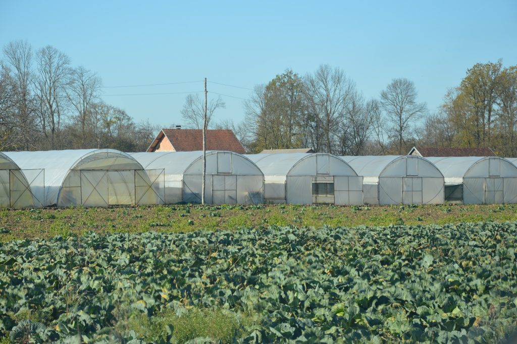 Provjerili smo, Gornji Karajzovci imaju više plastenika nego stanovnika