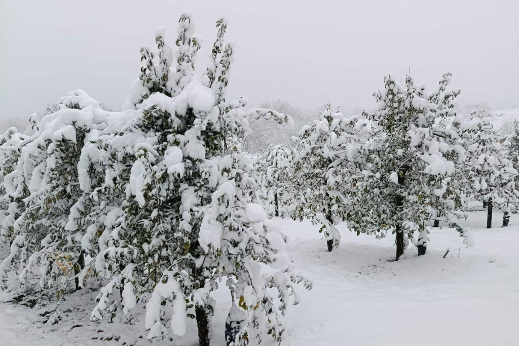 Zimska idila u Potkozarju (FOTO)