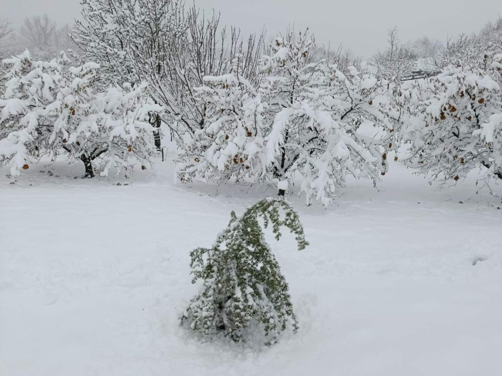 Zimska idila u Miljevićima