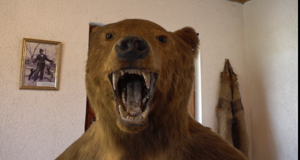 Urbana legenda o medvjedu LU „Prosara“