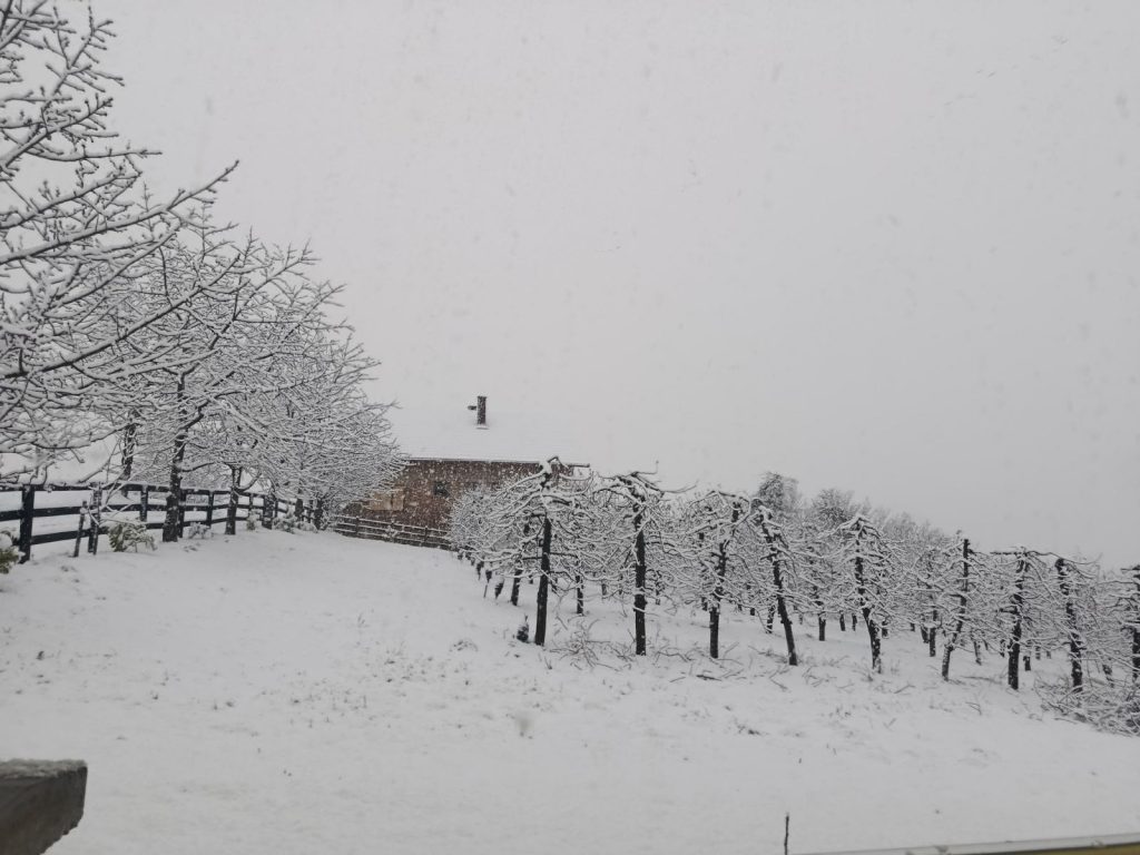 Gust snijeg u Potkozarju