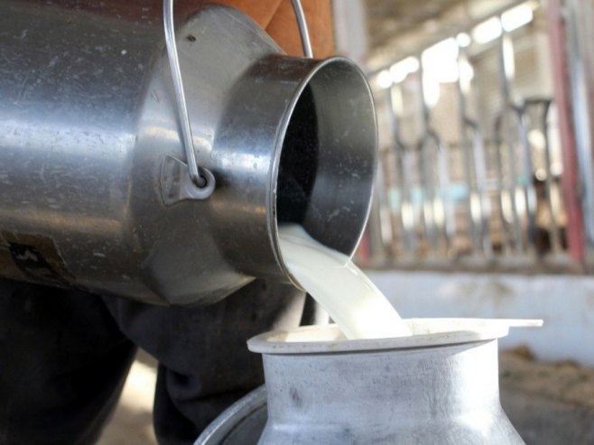 Uvoz jeftinijih nekvalitetnih proizvoda urušava situaciju u mljekarstvu