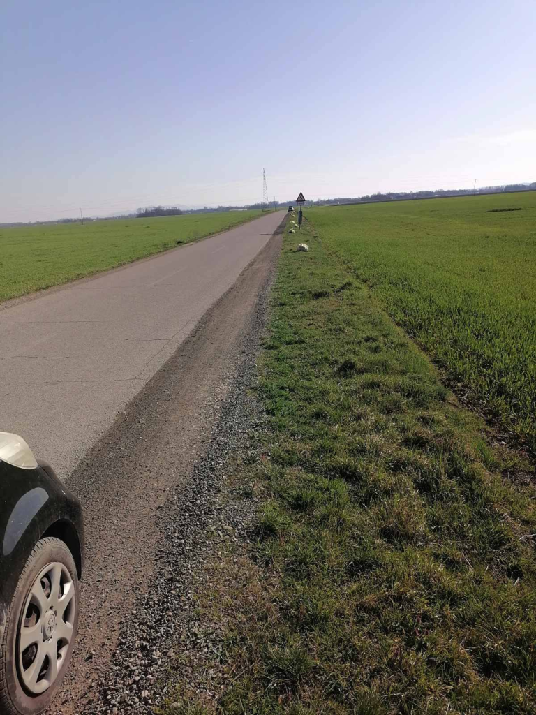 Radnici Komunalnog preduzeća „Gradska čistoća“ Gradiška i mještani Seferovaca organizovali su akciju uređenja ove mjesne zajednice.