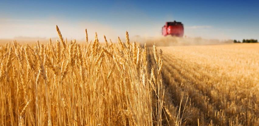 Očekivana vrijednost poljoprivredne proizvodnje oko 950 miliona KM