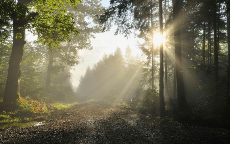 Za vikend nestabilno vrijeme, lokalno moguće i nepogode sa gradom